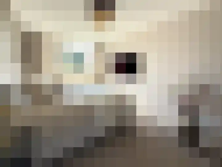 Seinestraat 24 Spijkenisse thumbnail 24