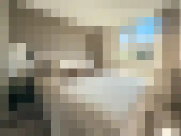 Seinestraat 24 Spijkenisse thumbnail 25