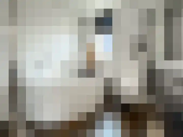 Seinestraat 24 Spijkenisse thumbnail 27
