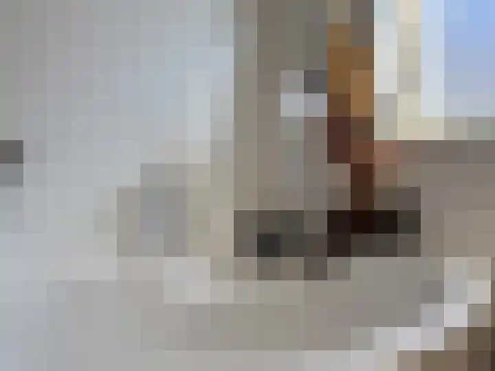 Seinestraat 24 Spijkenisse thumbnail 28
