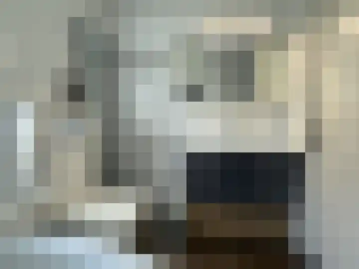 Seinestraat 24 Spijkenisse thumbnail 29