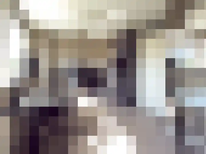 Seinestraat 24 Spijkenisse thumbnail 31