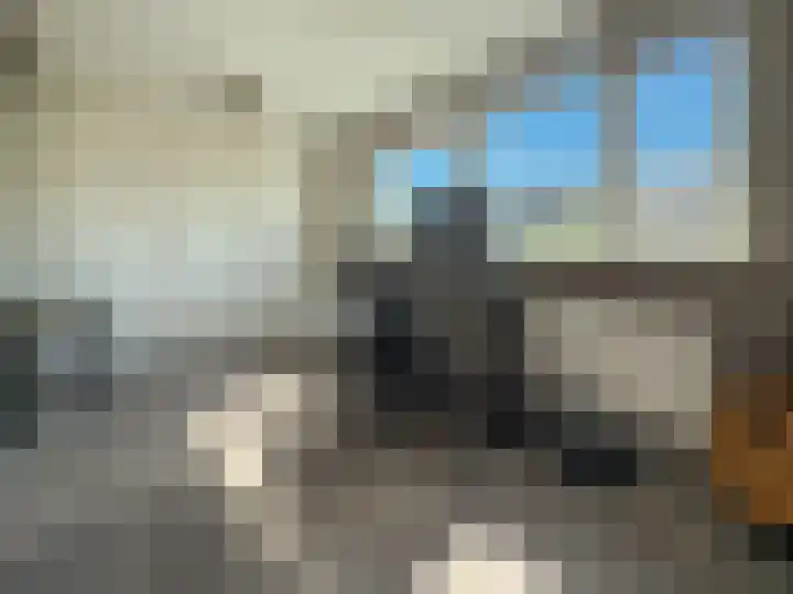 Seinestraat 24 Spijkenisse thumbnail 32