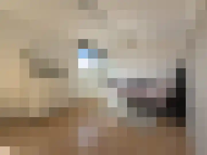 Seinestraat 24 Spijkenisse thumbnail 33