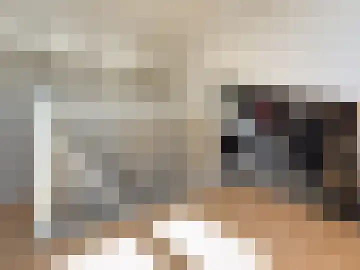 Seinestraat 24 Spijkenisse thumbnail 34