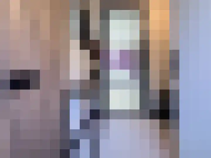 Seinestraat 24 Spijkenisse thumbnail 4