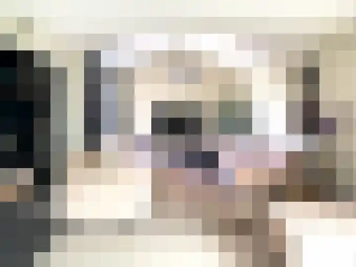 Seinestraat 24 Spijkenisse thumbnail 5