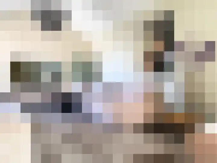 Seinestraat 24 Spijkenisse thumbnail 6