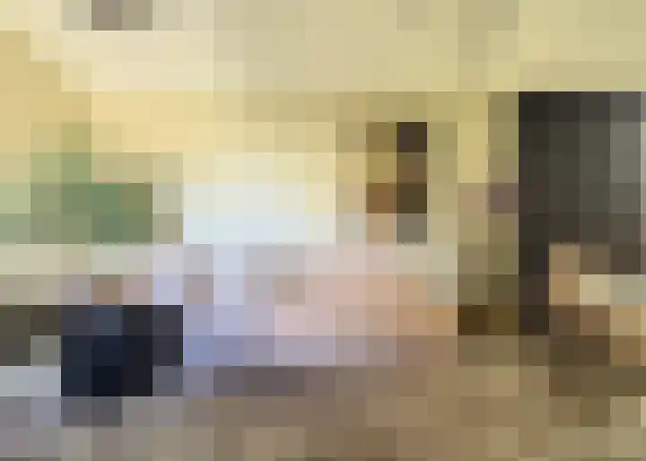 Seinestraat 24 Spijkenisse thumbnail 7