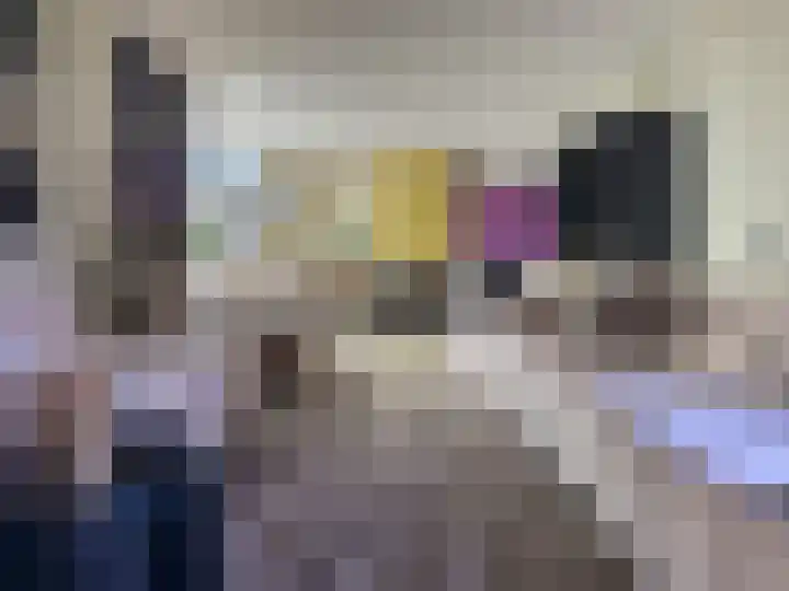 Seinestraat 24 Spijkenisse thumbnail 9