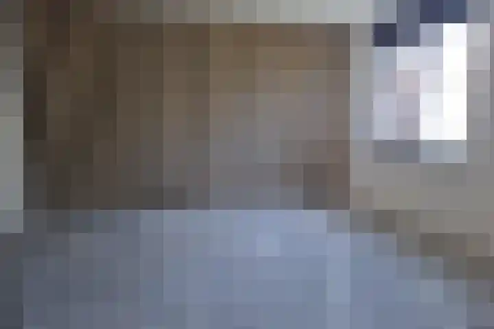Seinestraat 27 Spijkenisse thumbnail 11
