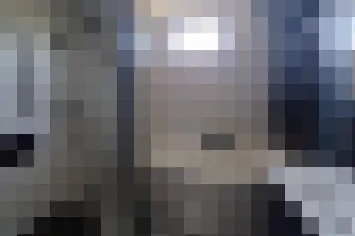 Seinestraat 27 Spijkenisse thumbnail 12
