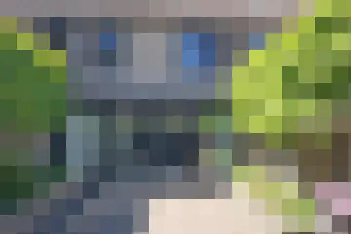 Seinestraat 27 Spijkenisse thumbnail 15