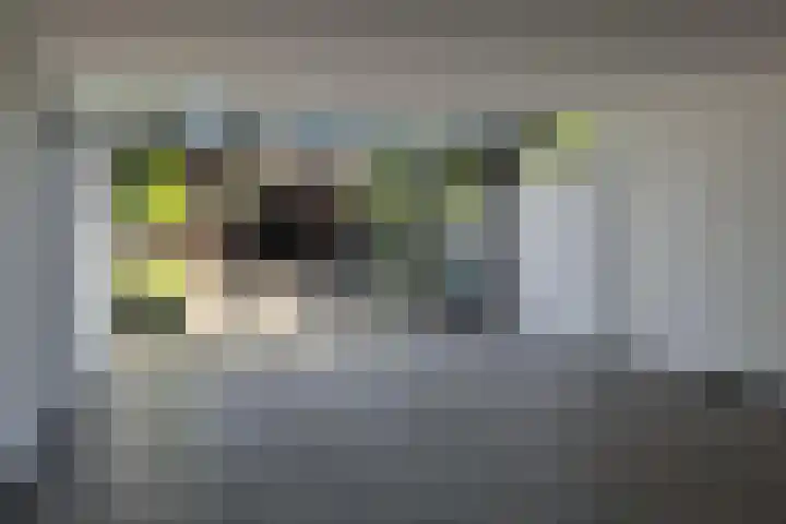 Seinestraat 27 Spijkenisse thumbnail 5