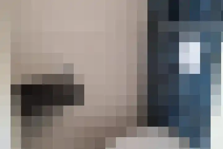Seinestraat 27 Spijkenisse thumbnail 8