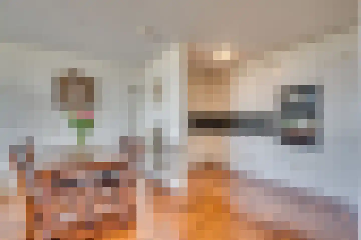 Seinestraat 38 Venlo thumbnail 15