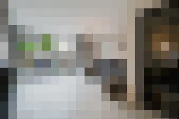 Seinestraat 53 Spijkenisse thumbnail 12