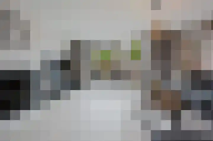 Seinestraat 53 Spijkenisse thumbnail 14