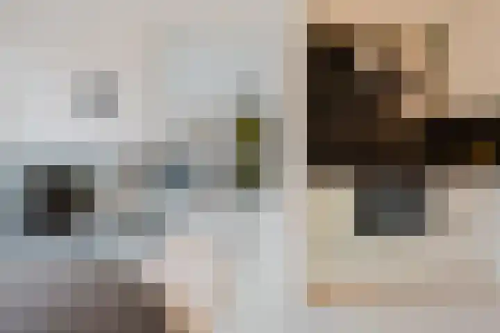 Seinestraat 53 Spijkenisse thumbnail 20