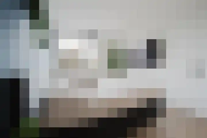 Seinestraat 53 Spijkenisse thumbnail 23