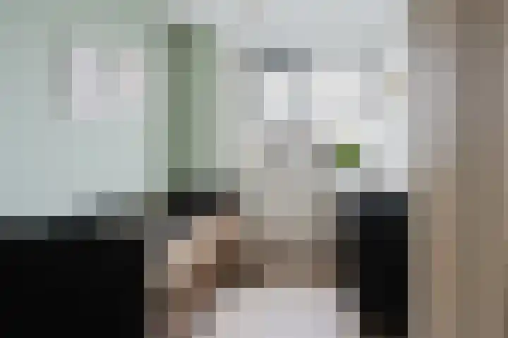 Seinestraat 53 Spijkenisse thumbnail 25