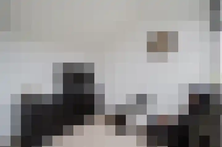 Seinestraat 53 Spijkenisse thumbnail 33