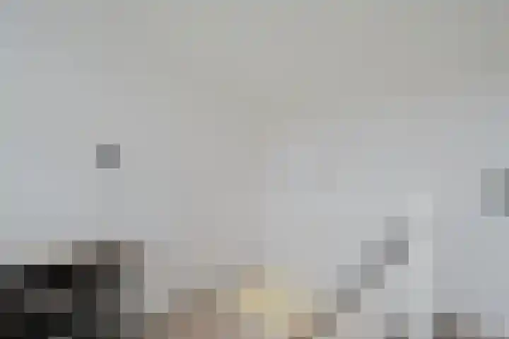 Seinestraat 53 Spijkenisse thumbnail 35