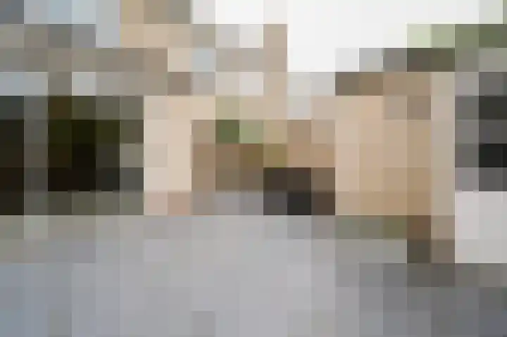 Seinestraat 53 Spijkenisse thumbnail 5