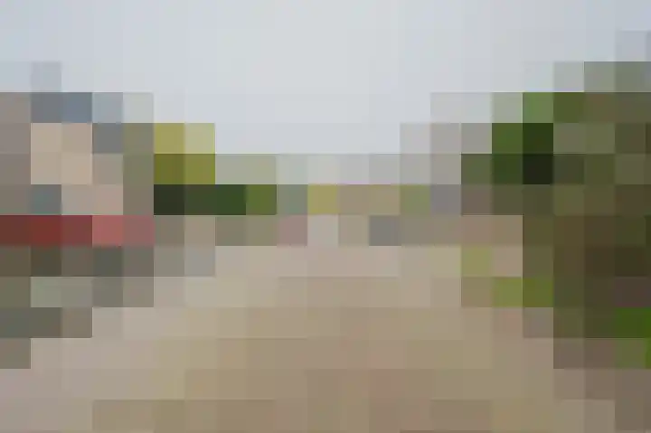 Seinestraat 53 Spijkenisse thumbnail 6