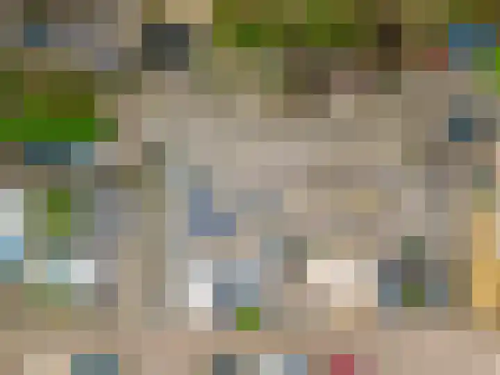 Seinestraat 53 Spijkenisse thumbnail 7