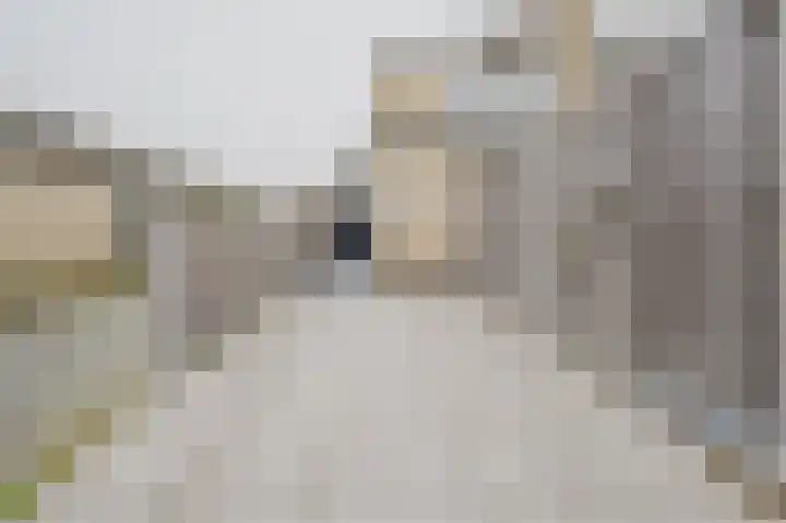 Seinestraat 53 Spijkenisse thumbnail 9