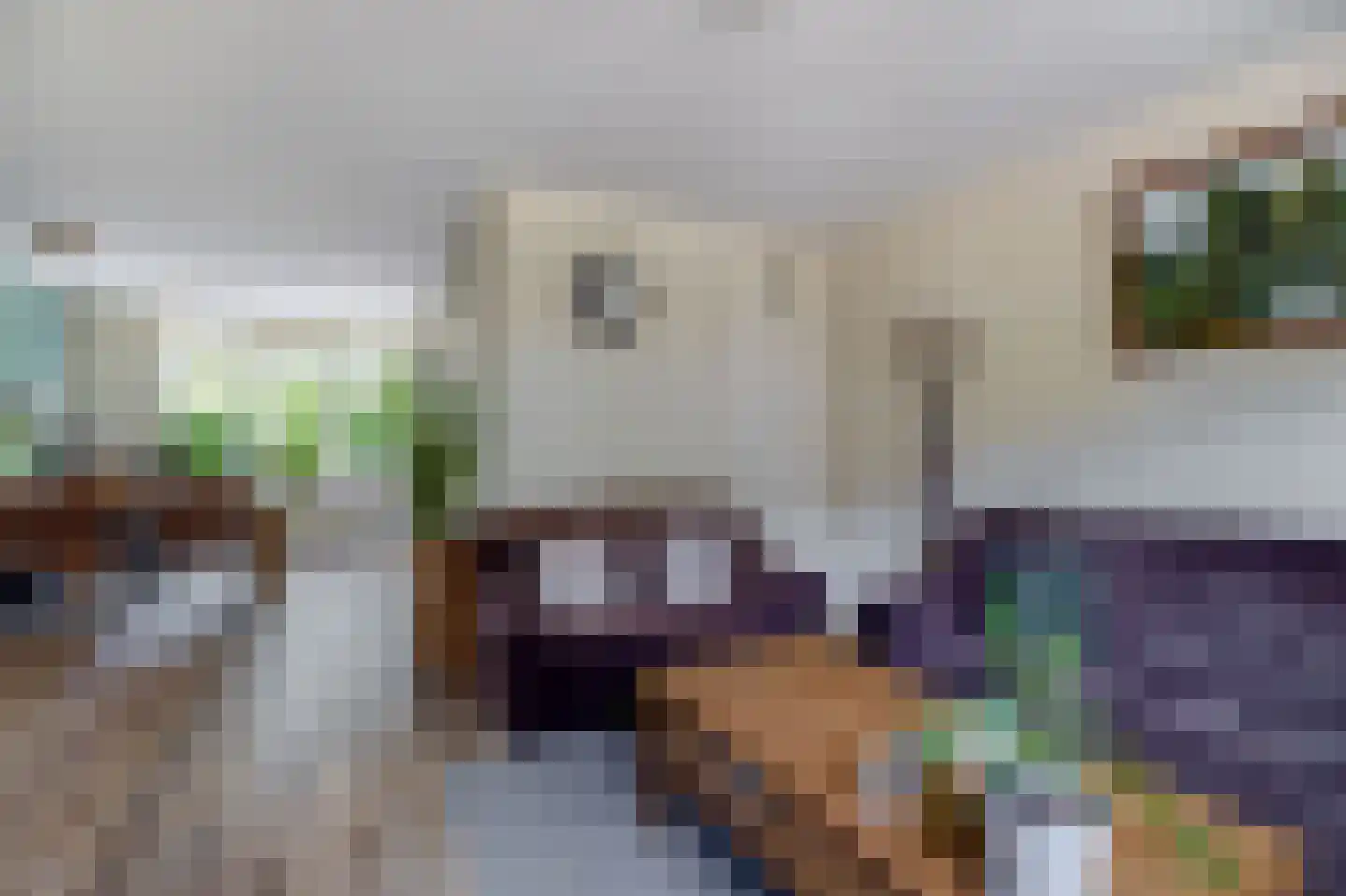 Seinestraat 75 Spijkenisse thumbnail 13