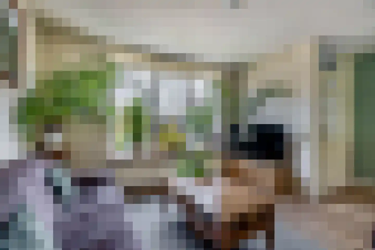 Seinestraat 75 Spijkenisse thumbnail 14