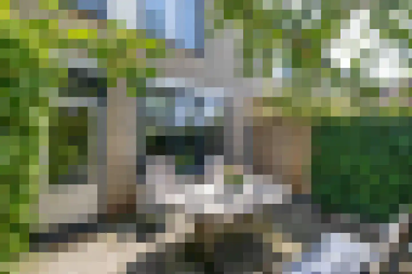 Seinestraat 75 Spijkenisse thumbnail 22