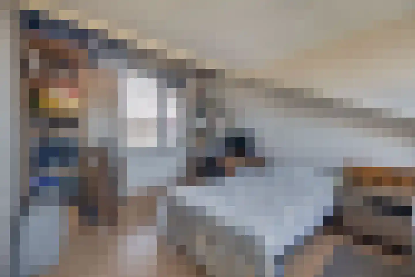 Seinestraat 75 Spijkenisse thumbnail 31