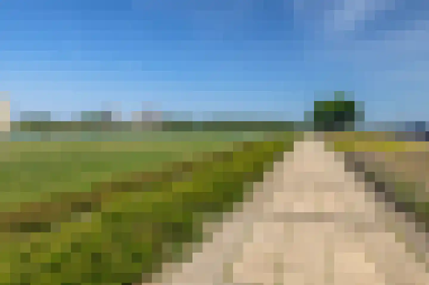 Seinestraat 75 Spijkenisse thumbnail 34