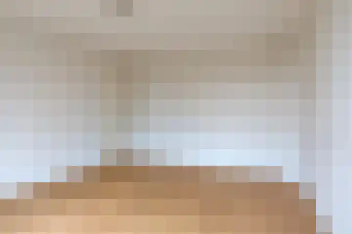 Seinestraat 8 Budel thumbnail 11