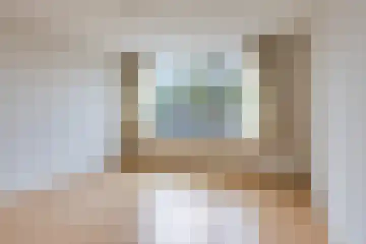 Seinestraat 8 Budel thumbnail 12