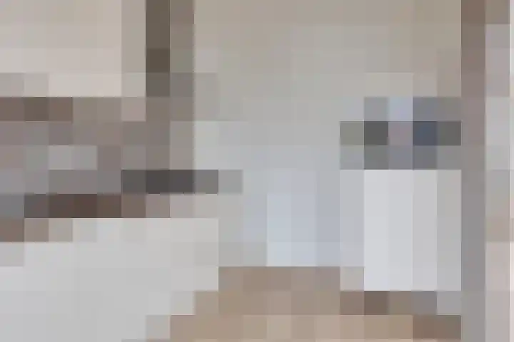 Seinestraat 8 Budel thumbnail 6