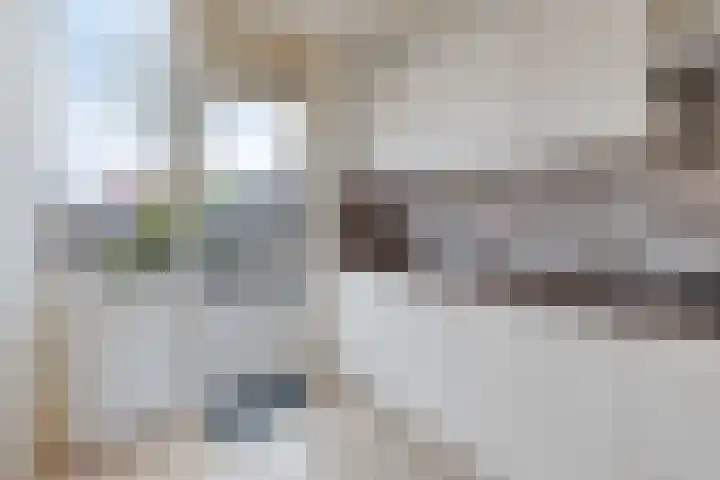 Seinestraat 8 Budel thumbnail 7
