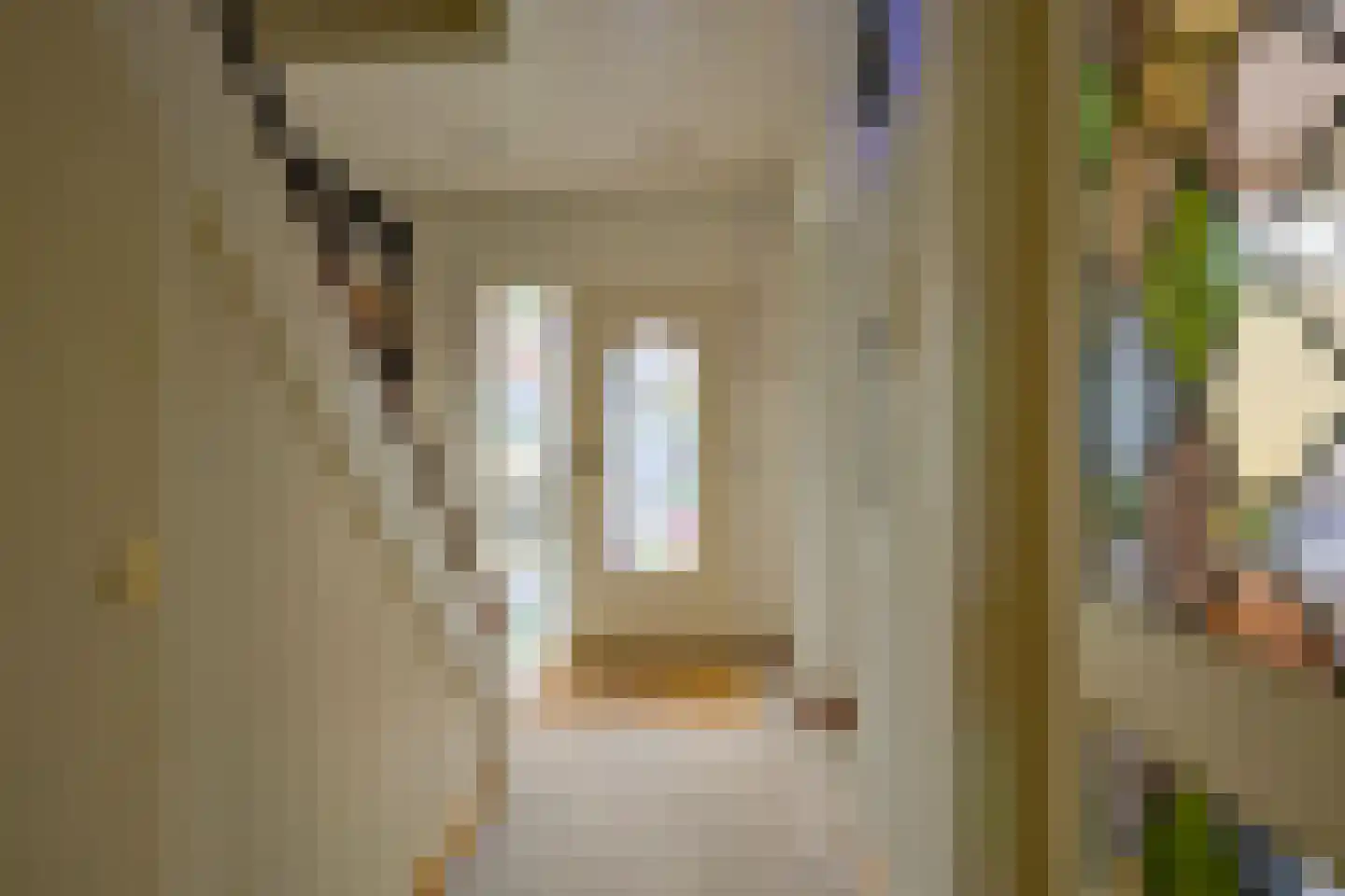 Seinestraat 8 Heemskerk thumbnail 30