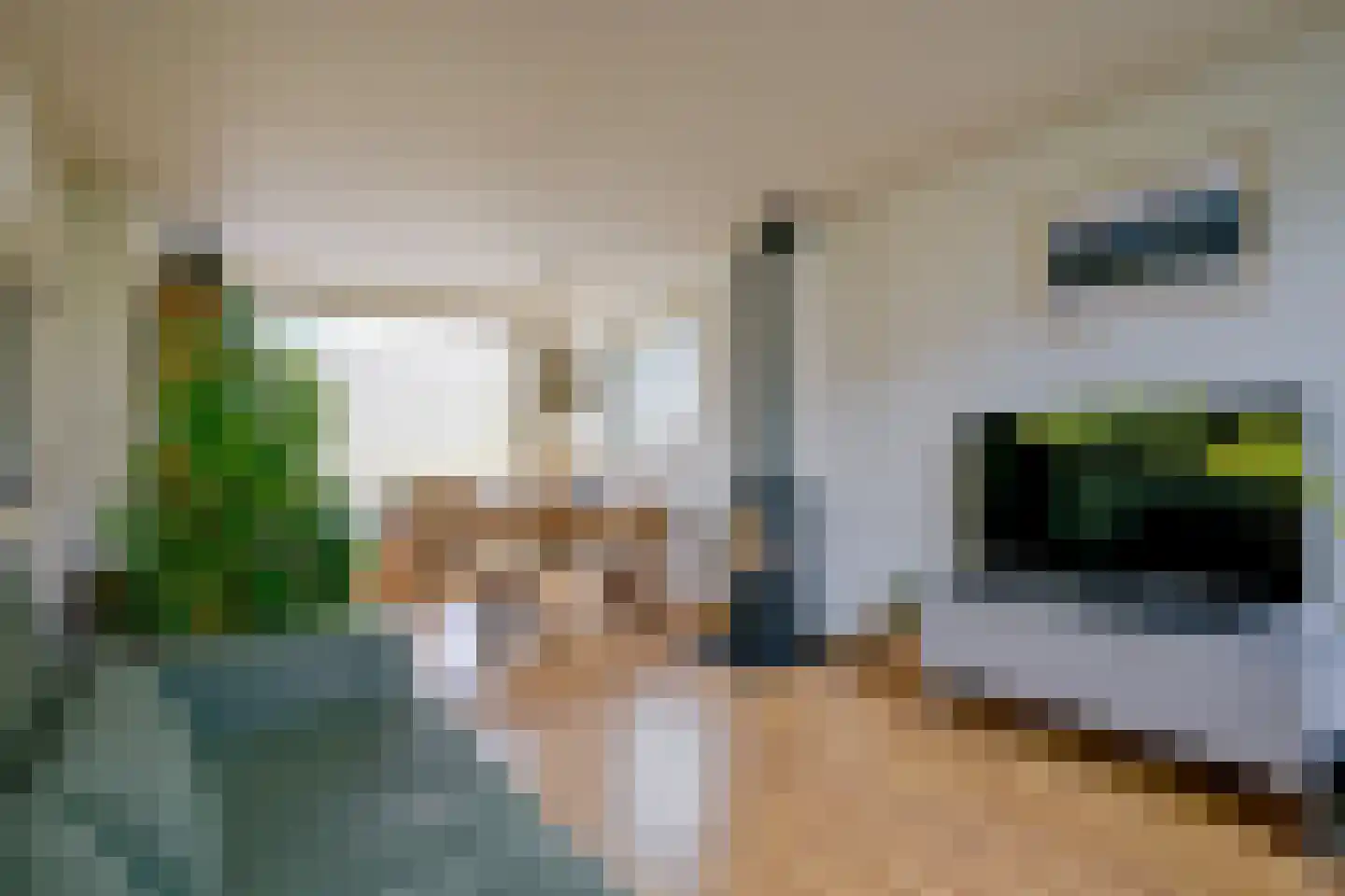 Seinestraat 8 Heemskerk thumbnail 7