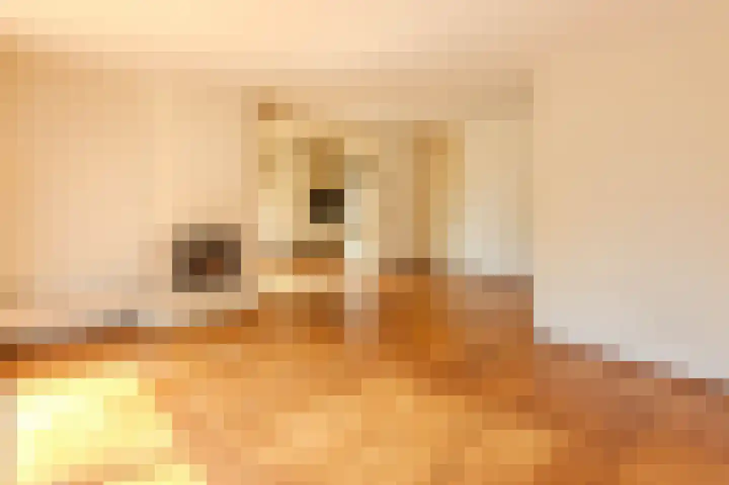 Seinestraat 8 Spijkenisse thumbnail 15