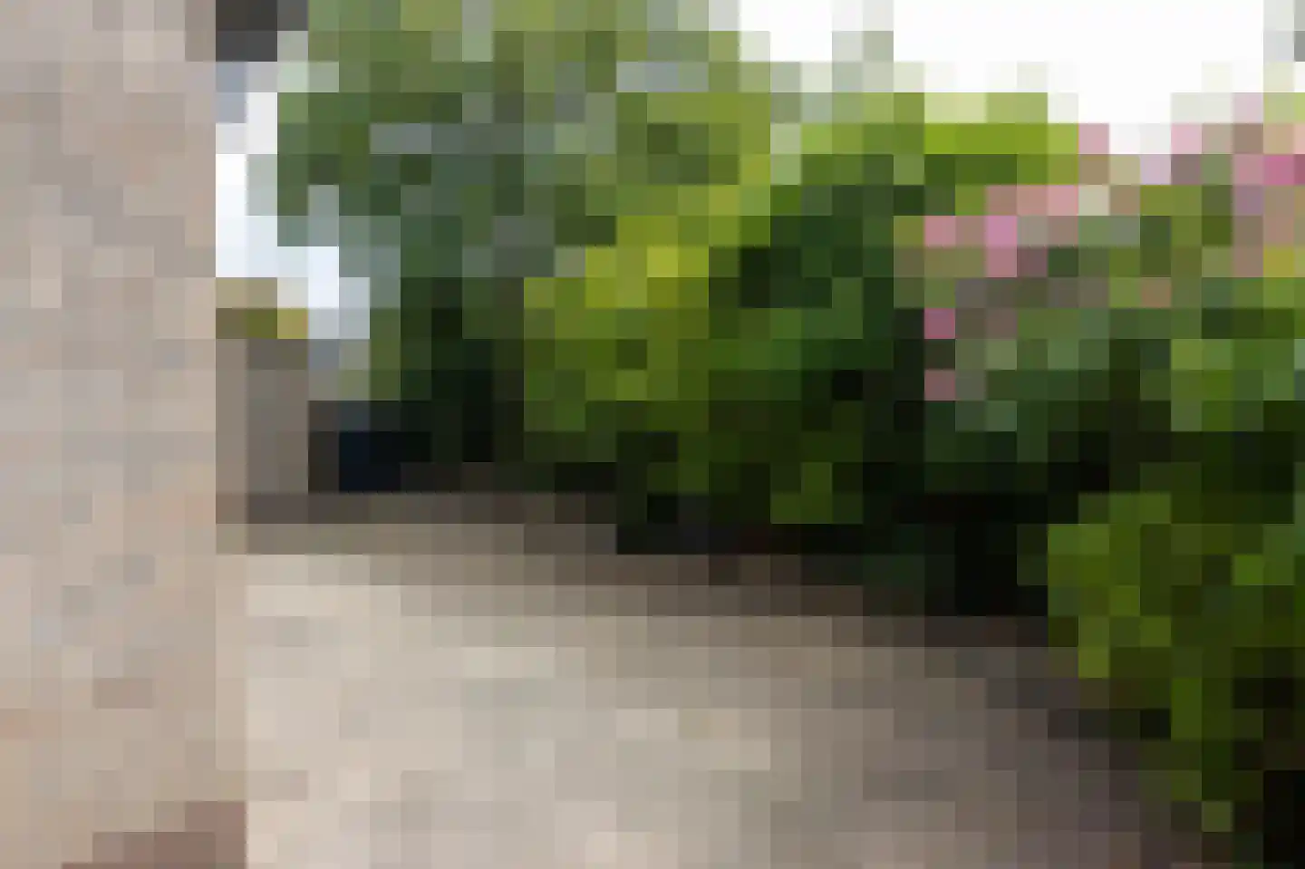 Seinestraat 8 Spijkenisse thumbnail 18