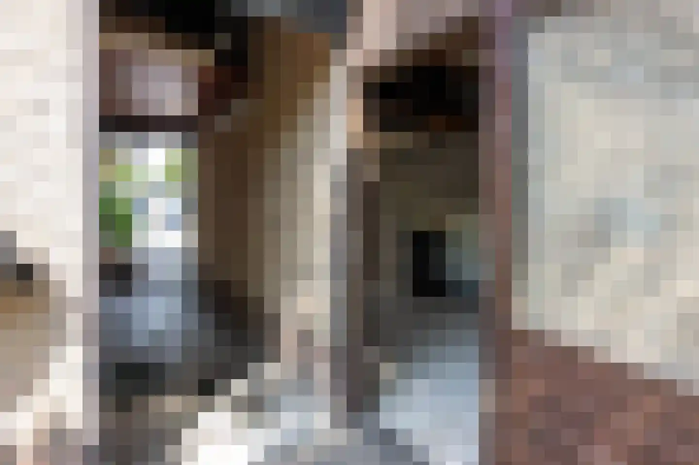 Seinestraat 8 Spijkenisse thumbnail 21