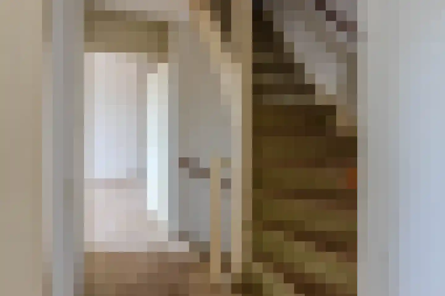 Seinestraat 8 Spijkenisse thumbnail 23