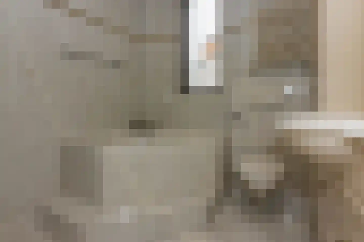 Seinestraat 8 Spijkenisse thumbnail 28
