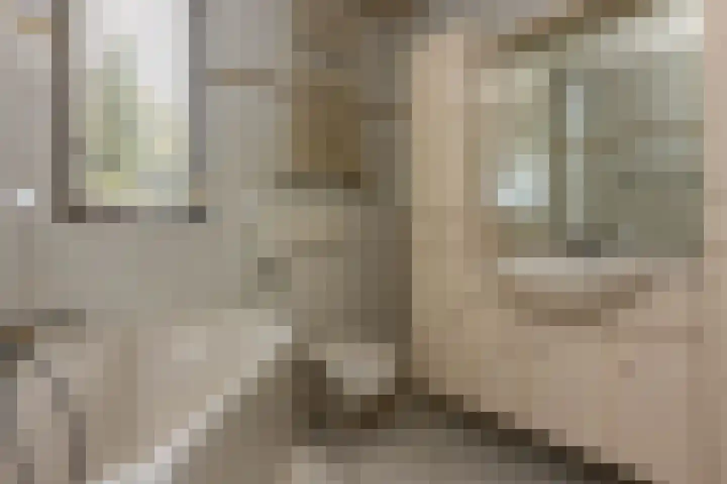 Seinestraat 8 Spijkenisse thumbnail 29