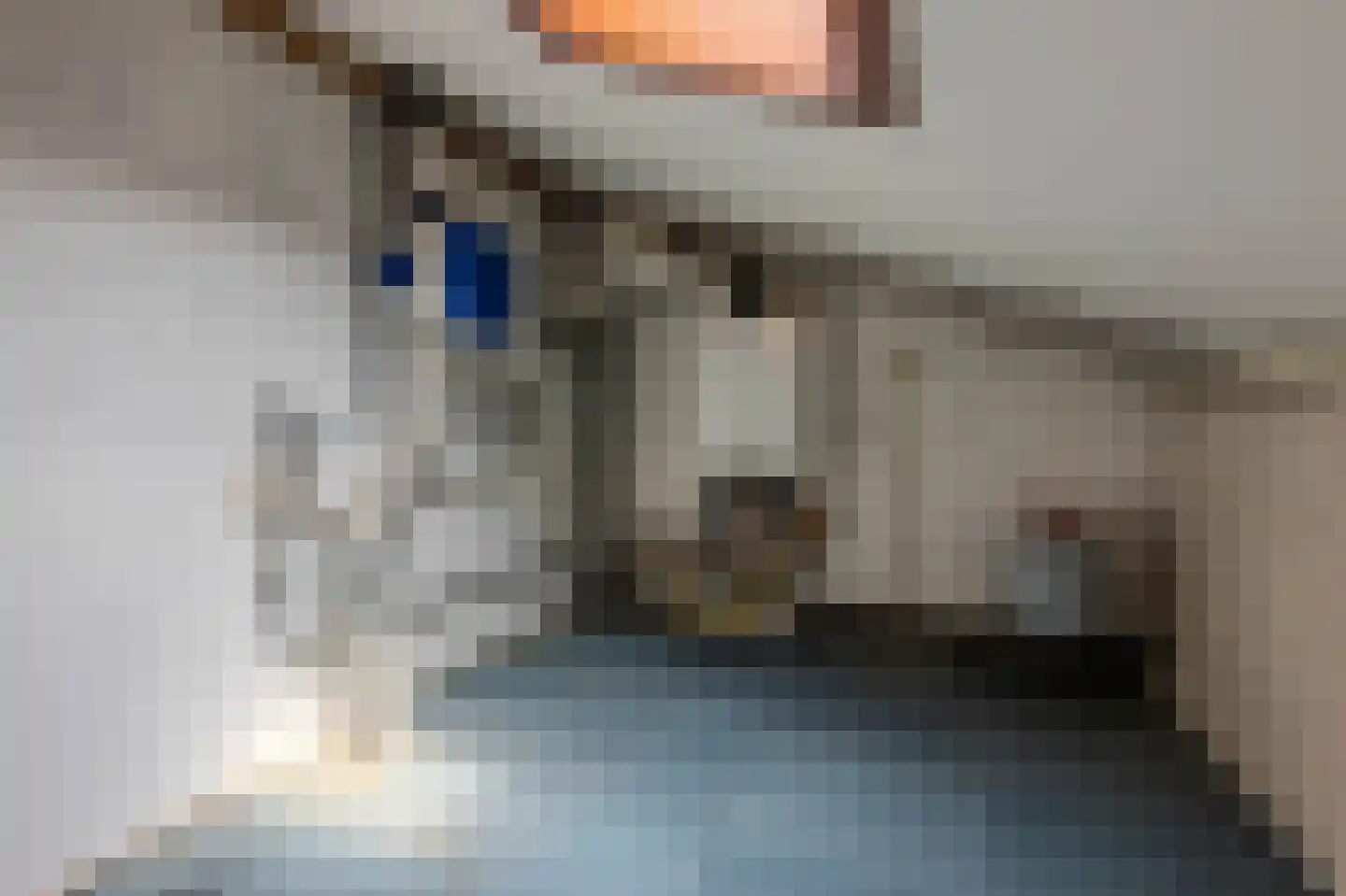 Seinestraat 8 Spijkenisse thumbnail 34
