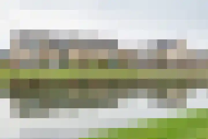 Seinestroom 7 Zoetermeer thumbnail 25